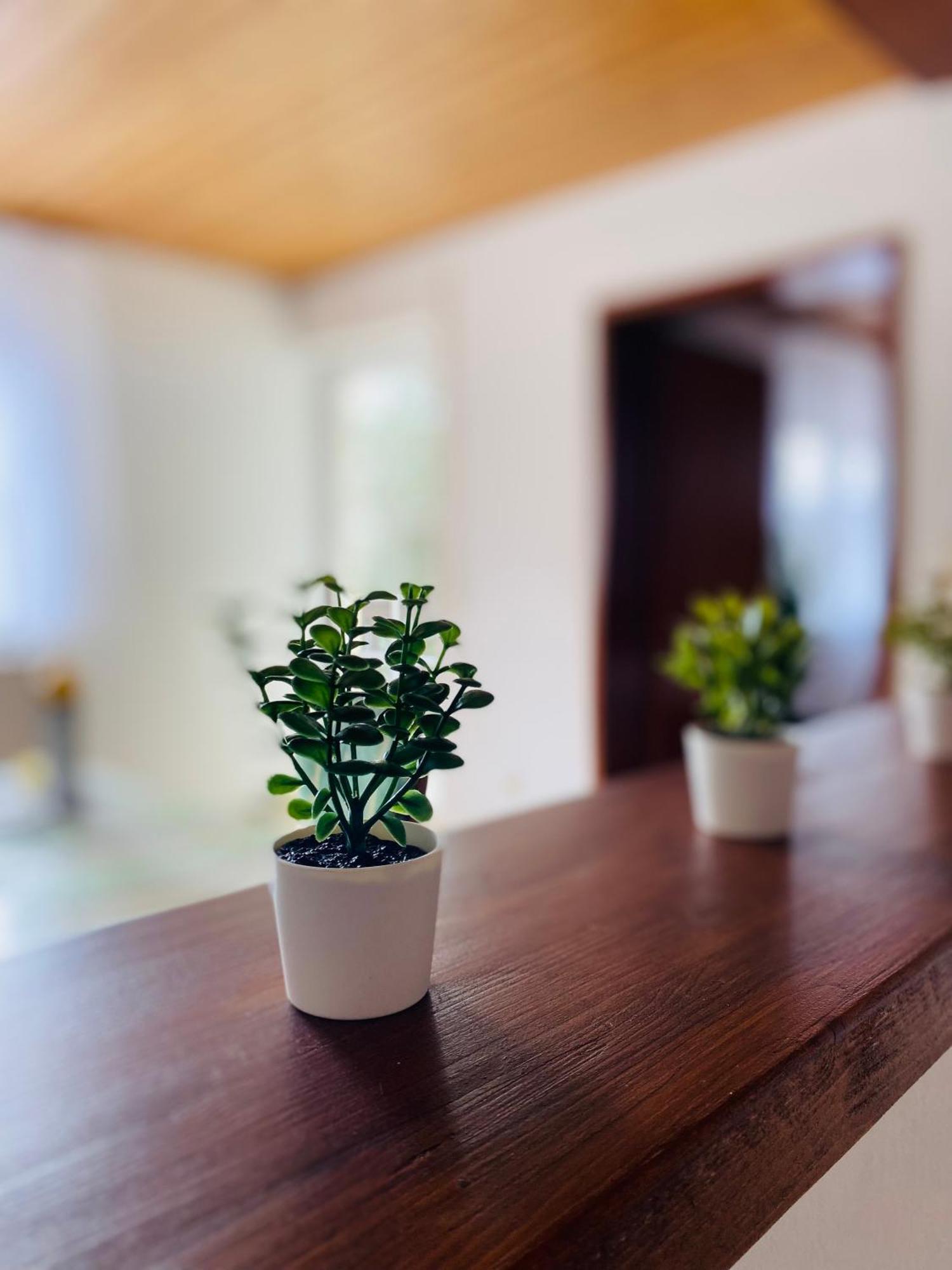 Ferienwohnung Antonia Rattelsdorf Ngoại thất bức ảnh